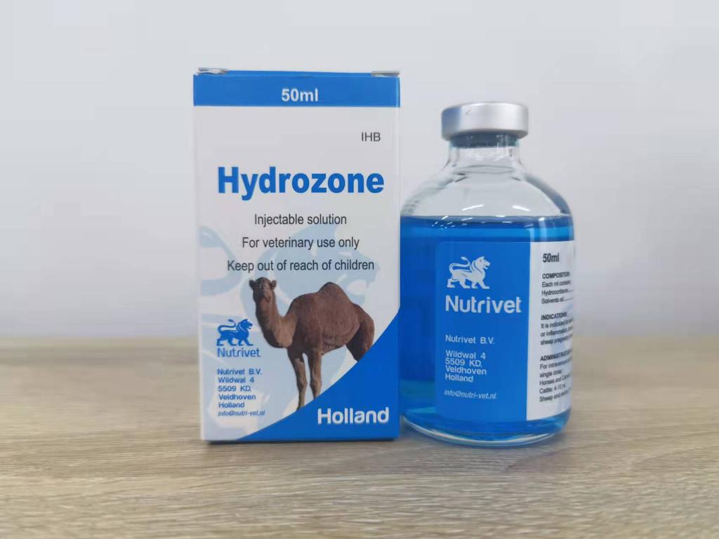 HYDROZONE 50 ML