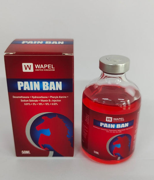 PAIN BAN 50 ML