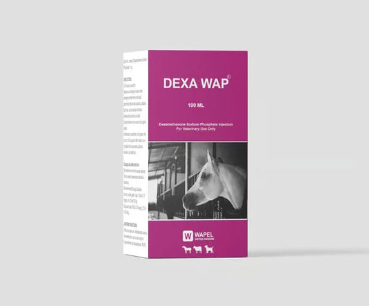 DEXA WAP 100 ML