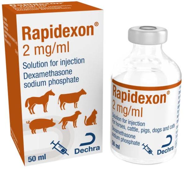 Rapidexon 50 ML / رابيديكسون 50 مللي